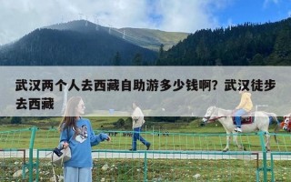 武汉两个人去西藏自助游多少钱啊？武汉徒步去西藏