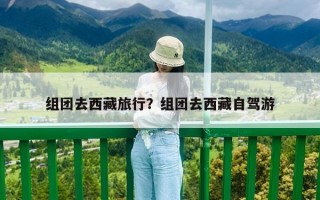 组团去西藏旅行？组团去西藏自驾游