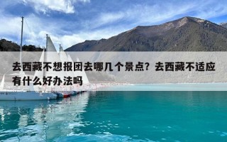 去西藏不想报团去哪几个景点？去西藏不适应有什么好办法吗