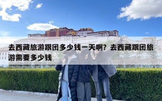 去西藏旅游跟团多少钱一天啊？去西藏跟团旅游需要多少钱