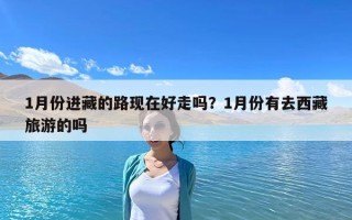 1月份进藏的路现在好走吗？1月份有去西藏旅游的吗