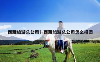 西藏旅游总公司？西藏旅游总公司怎么报团