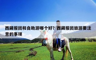 西藏报团和自助游哪个好？西藏报团旅游要注意的事项