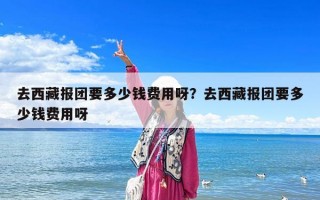 去西藏报团要多少钱费用呀？去西藏报团要多少钱费用呀