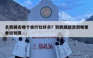 去西藏去哪个旅行社好点？到西藏旅游到哪里参团划算