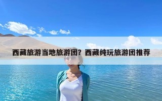 西藏旅游当地旅游团？西藏纯玩旅游团推荐