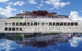 十一月去西藏怎么样？十一月去西藏旅游都需要准备什么