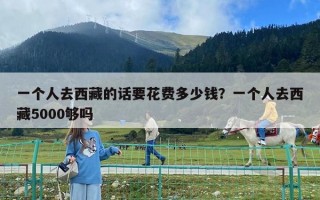 一个人去西藏的话要花费多少钱？一个人去西藏5000够吗