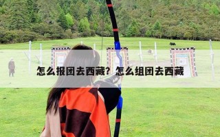 怎么报团去西藏？怎么组团去西藏