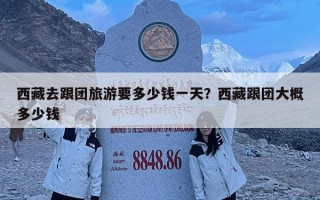 西藏去跟团旅游要多少钱一天？西藏跟团大概多少钱